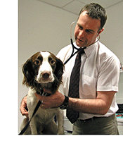 Pearl Veterinary Group