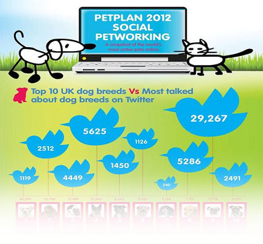 Petplan 2012 Social Petworking poster