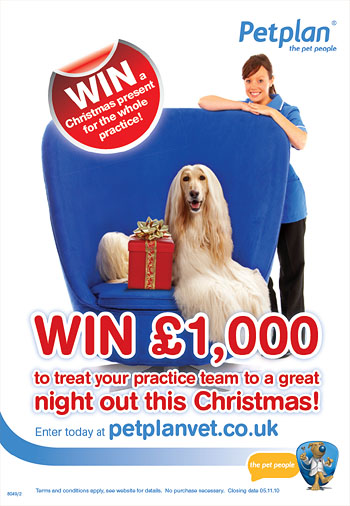 Petplan Christmans offer flyer