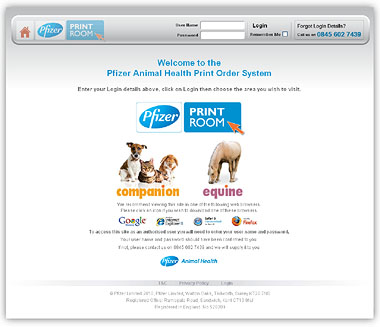 Screenshot of print room website