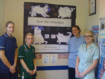 Photo showing winning competitors. Pictured are Michelle Reynolds, Carrie Apps, Fiona Diamond and Helenna Mills from South Beech Veterinary Surgery, Wickford, Essex