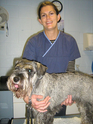 Tamsin O’Brian, BVRSMA member and one of the vets at rehabilitation referral centre The SMART Clinic