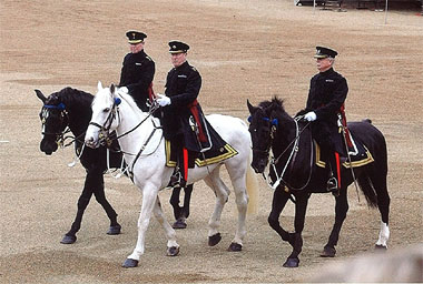 Remus (right) during his working days