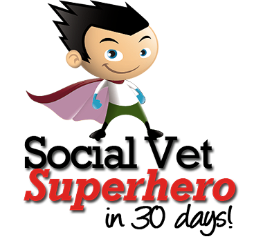 Social Vet Superhero graphic
