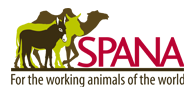 SPANA logo