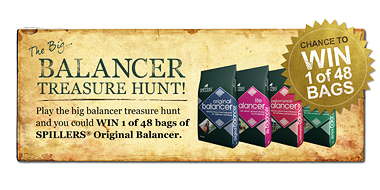 Spillers Treasure hunt banner