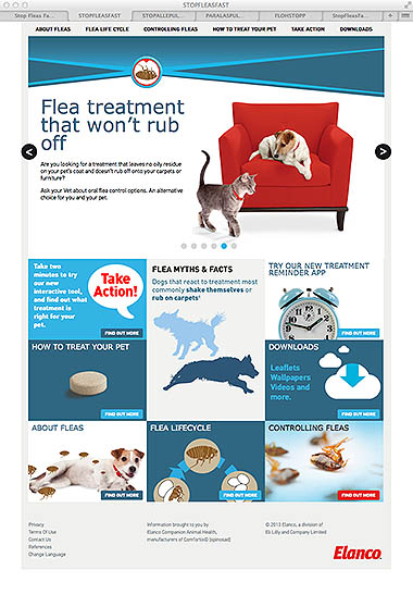 Stop fleas fast homepage