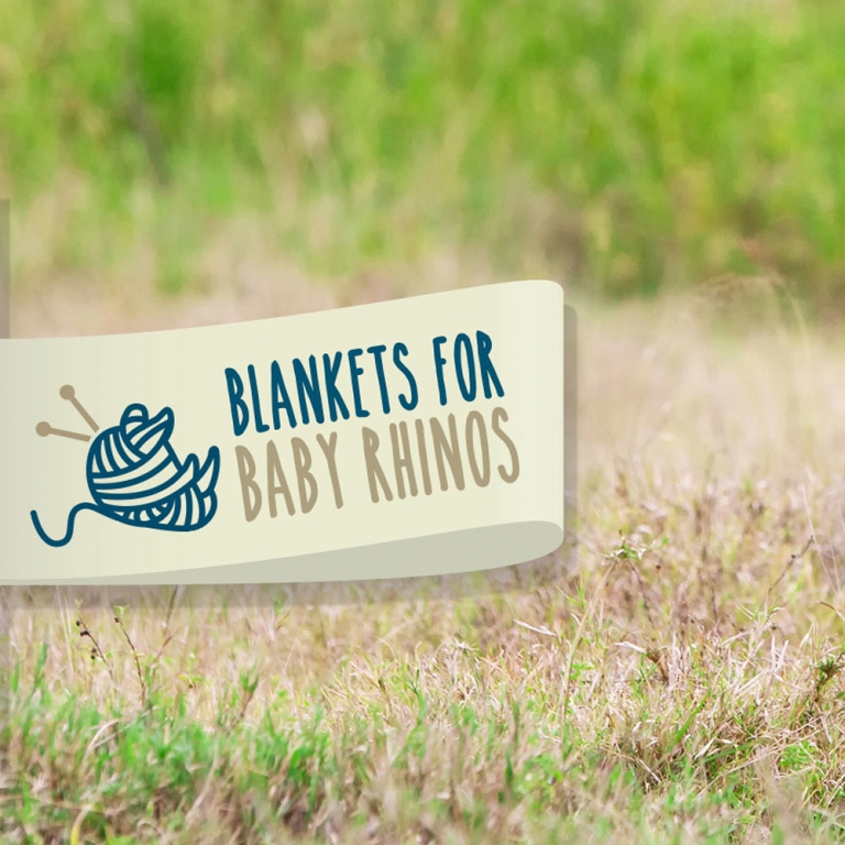 Blankets for Baby Rhinos received a sizeable donation at this year's London Vet Show