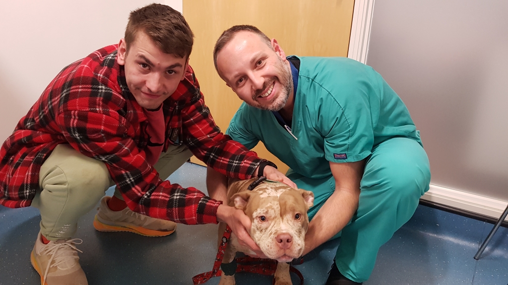 Harley, a Pocket American Bulldog, needed expert treatment at The Roundhouse Veterinary hospital in Glasgow. Harley is pictured with here with owner Mark and Manos Tzimtzimis from Pets'n'Vets. 