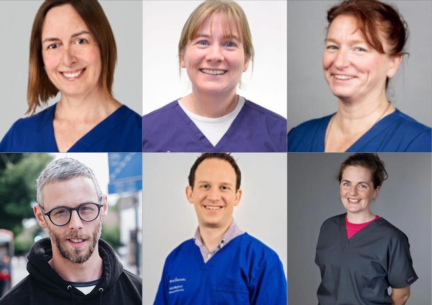 Clockwise from top left, Linnaeus associates Colette Jolliffe, Debbie Gow, Amanda Paul, Abby Caine, Adam Mugford and Sam Joseph have all been admitted to RCVS Fellowship for 2022. 