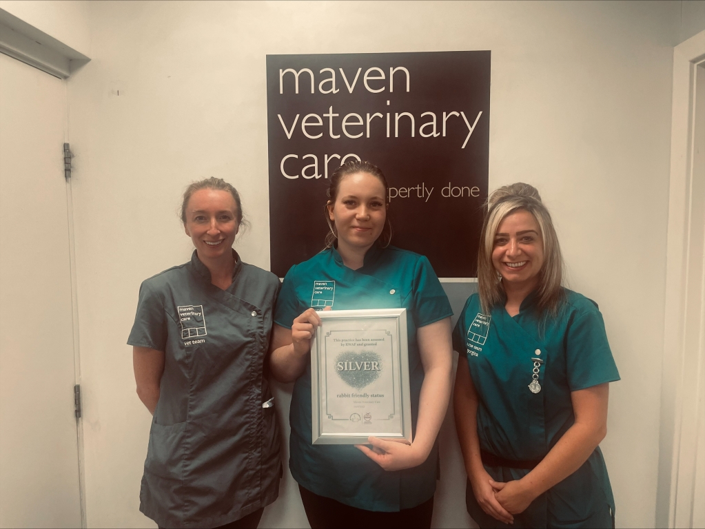 Maven Vets rabbit advocates with Rabbit Welfare Association and Fund certificate.
