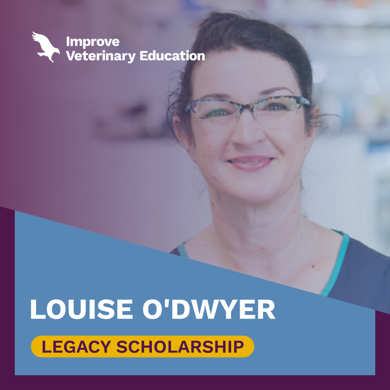 Louise O’Dwyer Scholarship poster