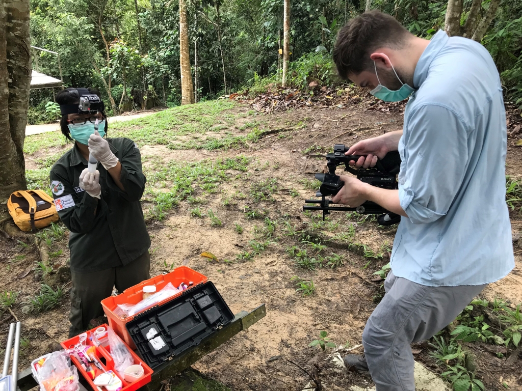 A film crew document as much-needed medication is prescribed by vets to treat the critically endangered orangutan population in Borneo.
