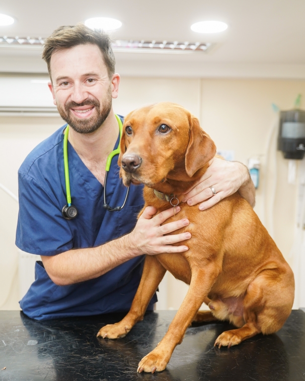 James Tate's career as a Surgical Director is thriving at VetPartners