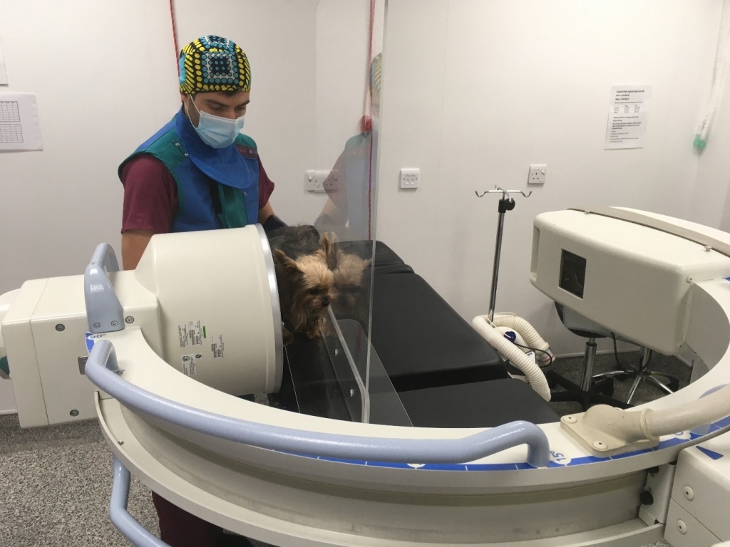 The repurposed Covid-19 desk barrier being used for fluoroscopic examinations of patients at Eastcott Veterinary Referrals
