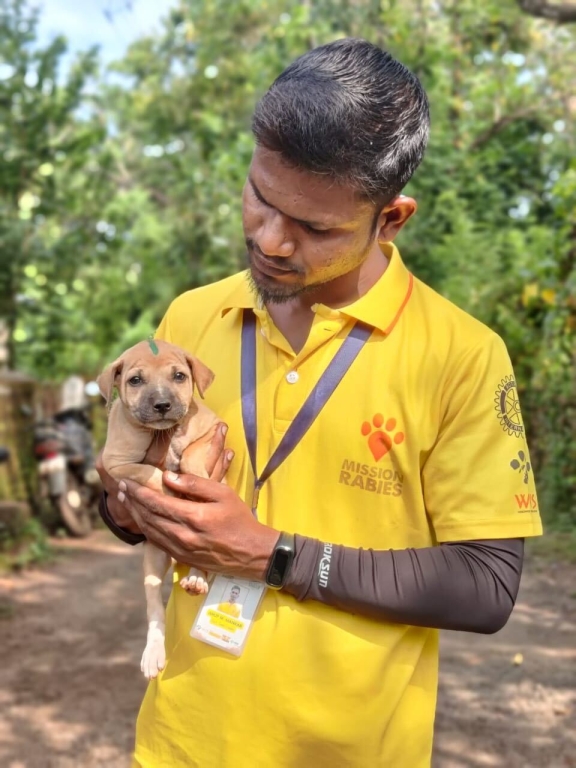 Mission Rabies charity worker holding a puppy