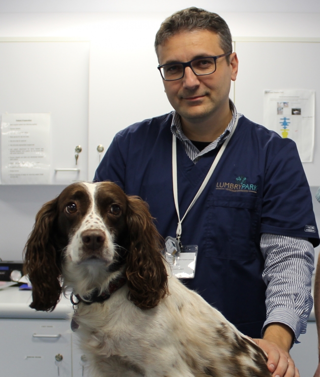 Surgical Oncologist joins Lumbry Park Veterinary Specialists