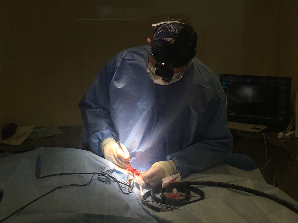 Dr Ryk Botes performing the 3D partial jaw replacement on Poppet