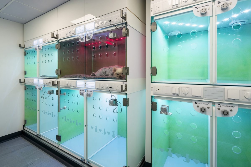 CASCO Pet will be showing additions to its WELLKennels portfolio at LVS 2025