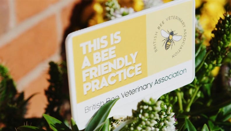 Bee Friendly Practices at IVC Evidensia