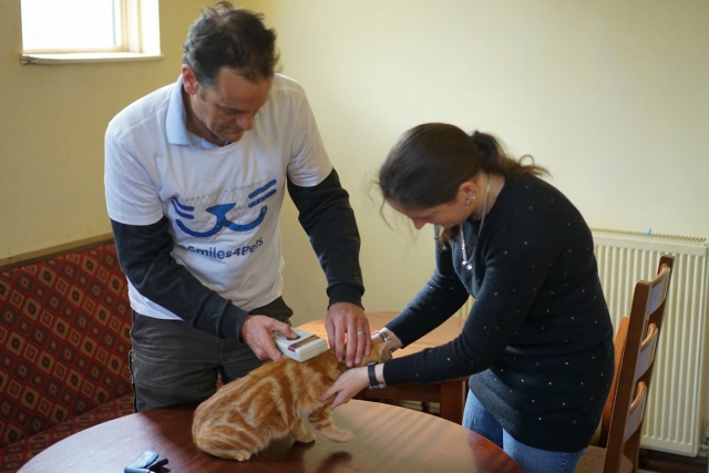 Andrew Bucher scans a cat that has been microchipped