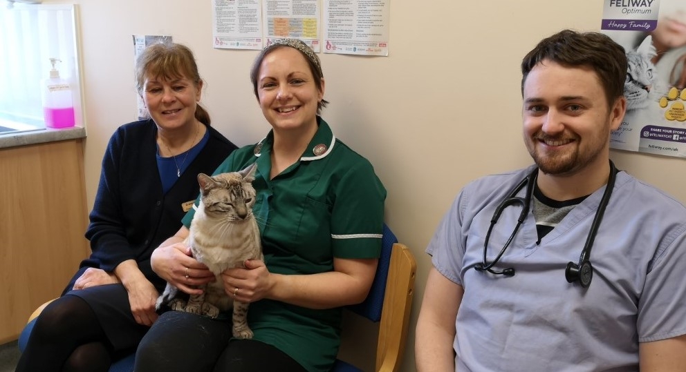 Cromwell Vets’ cat friendly advocates Susan Fisher, Kimberley Sacker and William Davies. 