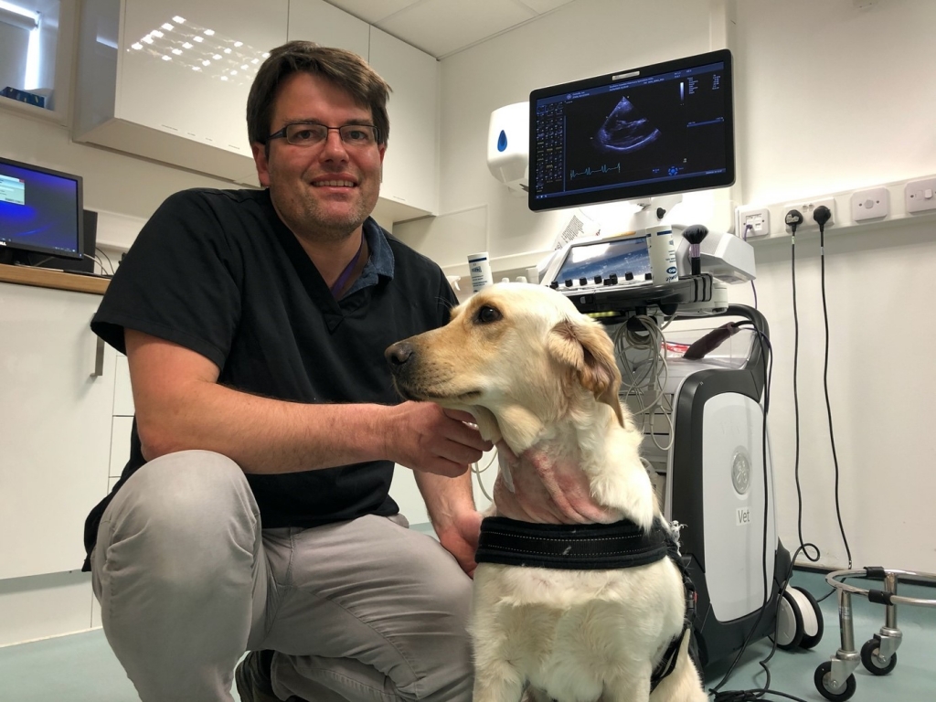 Leo with Tobi Wagner Dip ECVIM-CA (Cardiology) Dr.med.vet. MRCVS post op