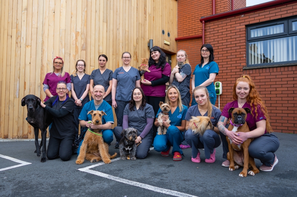 Dr Peter Herold and the team from Cornerstone Vets in Belfast