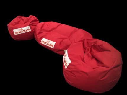 Five practices have a moment of calm after bonfire night thanks to ROYAL CANIN 