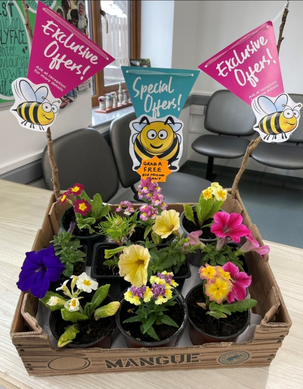 Linnaeus-owned Donnachie & Townley Veterinary Centre is encouraging clients and staff to ‘bee friendly’