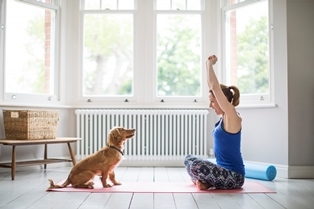 Photo courtesy of Simplyhealth Professionals: The UKs leading provider of preventive healthcare packages for cats, dogs, horses and rabbits