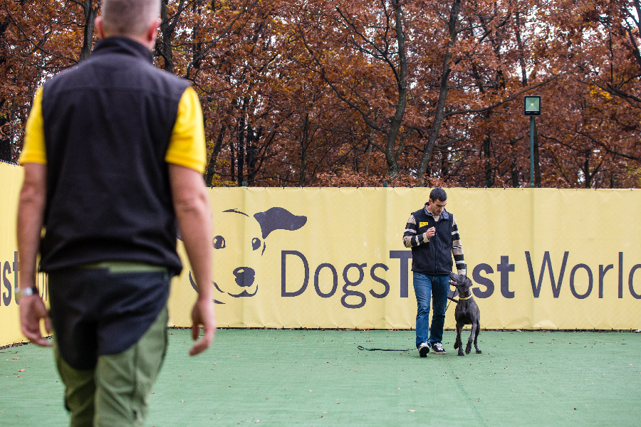 The partnership will include grants to support NGOs with pets in their care, on their facilities, or on building practical skills