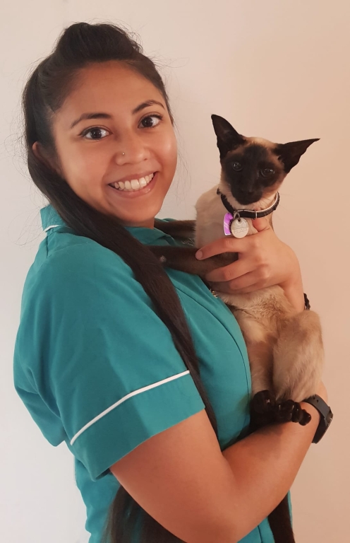 Sarah Daphne Foo, first place in the Veterinary Evidence Student Awards (and Ivy)