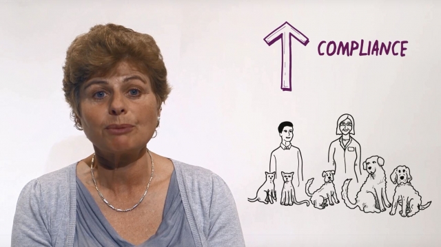 Liz Jones Compliance is Key webinar