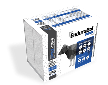 Pack shot - EnduraBol Pre-Calver consists of two boluses that provide a sustained release of six trace elements and three vitamins for up to 120 days. Nutrients include high levels of copper, zinc, iodine, cobalt, selenium, manganese and vitamins A, D3 an