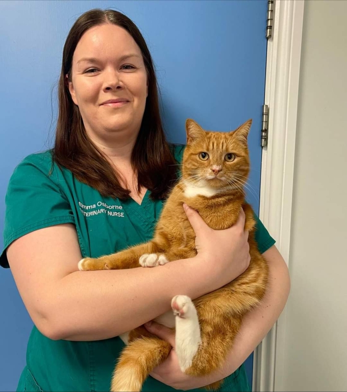 Senior veterinary nurse Emma Osborne at End Cottage Vets, in Howden, which has gained silver accreditation from the International Society of Feline Medicine. 