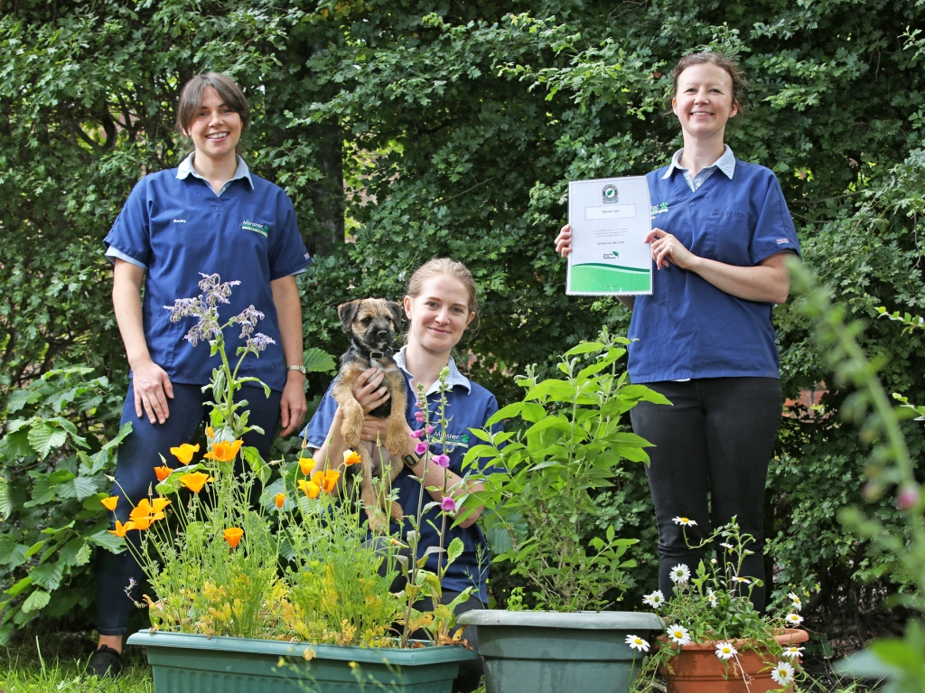 (left to right) Vet Becky Sedman, Vet Eve Smaller holding Nell the Border Terrier puppy and Clinical Director Sarah Ford with certificate.