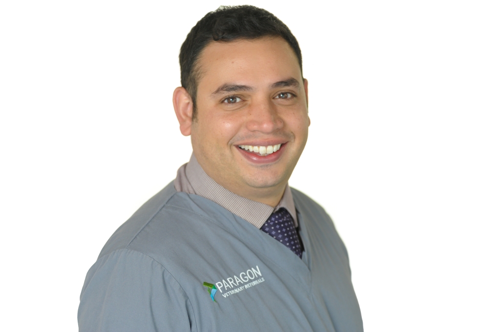 RCVS and EBVS specialist in cardiology Chris Linney has hailed a world-first clinical audit which looked at the outcomes of minimally-invasive surgical procedures in dogs.