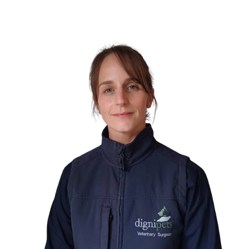 Dr Kelly  Foden, BVetMed MRCVS