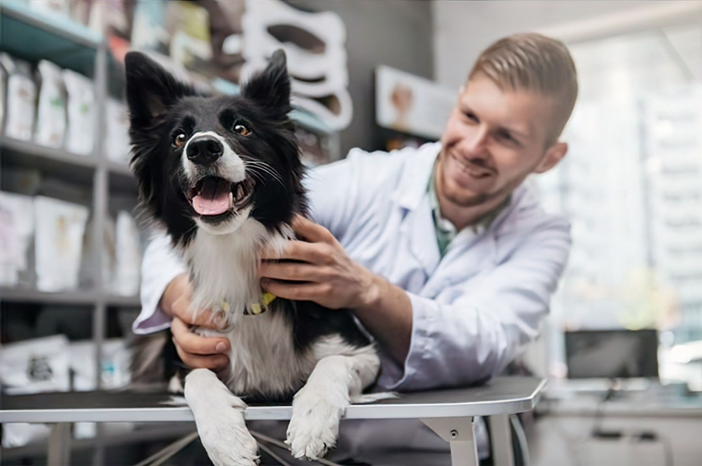 Smiling vet holding smiling dog
