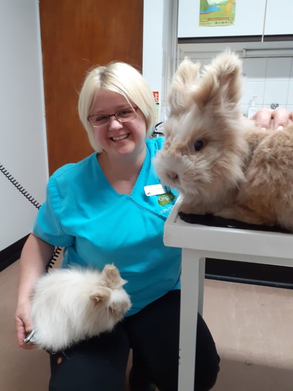 Dr Sophie Jenkins, winner of the 2020 Burgess Excel Rabbit Vet of the Year award