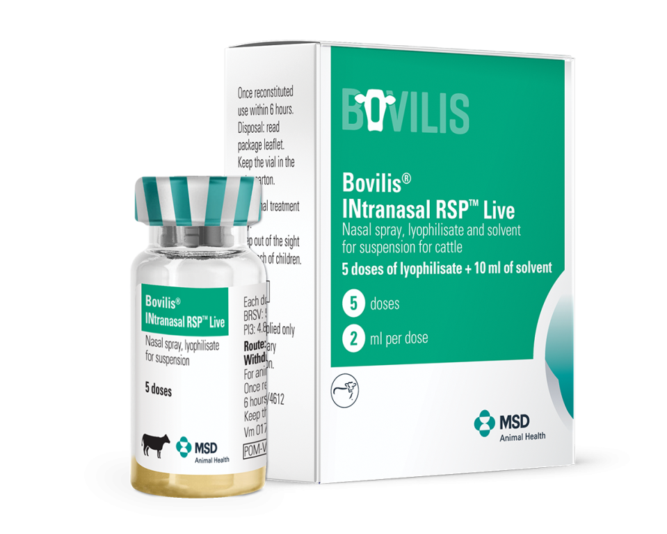 BOVILISâ INtranasal RSPä Live vaccine is now licensed for use in calves from the day of birth onwards for active immunisation against Bovine Respiratory Disease (BRD) caused by Bovine Respiratory Syncytial Virus (BRSV) and Parainfluenza Virus 3 (Pi3).