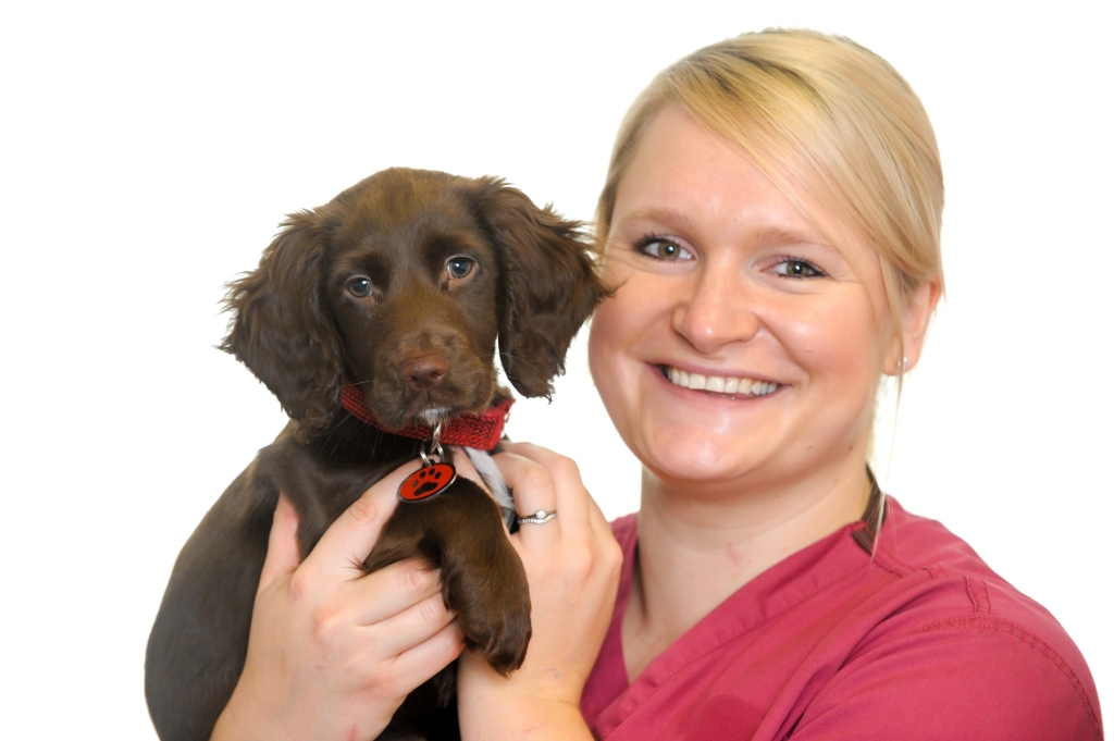 Kentdale Referrals&#39; Emma Dever has achieved an honours degree in veterinary nursing. 