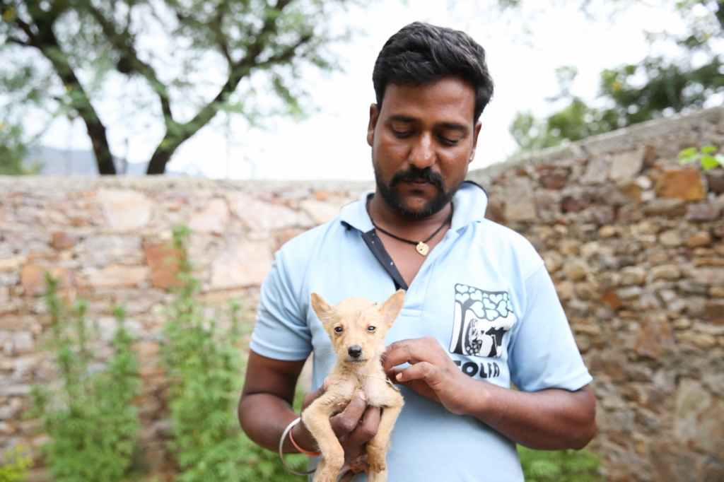 A TOLFA staff member with a puppy