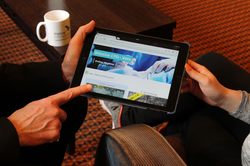 Bitesize CPD from Improve International