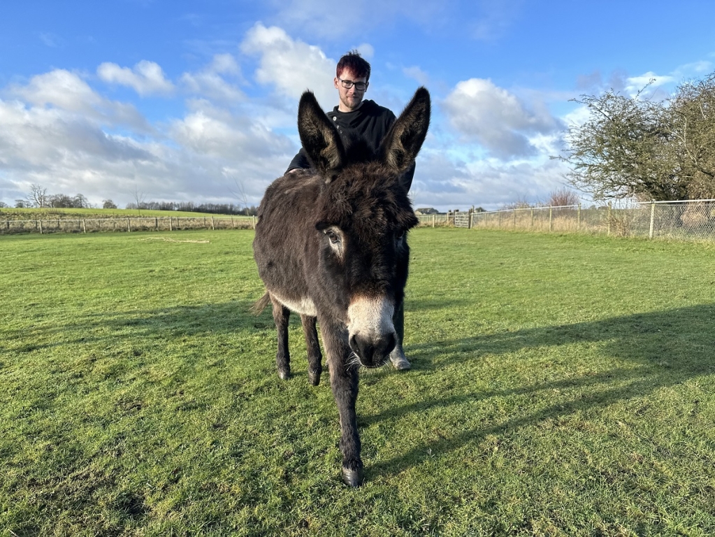 Kaiden with donkey Godfrey at The Donkey Sanctuary Leeds (credit The Donkey Sanctuary)