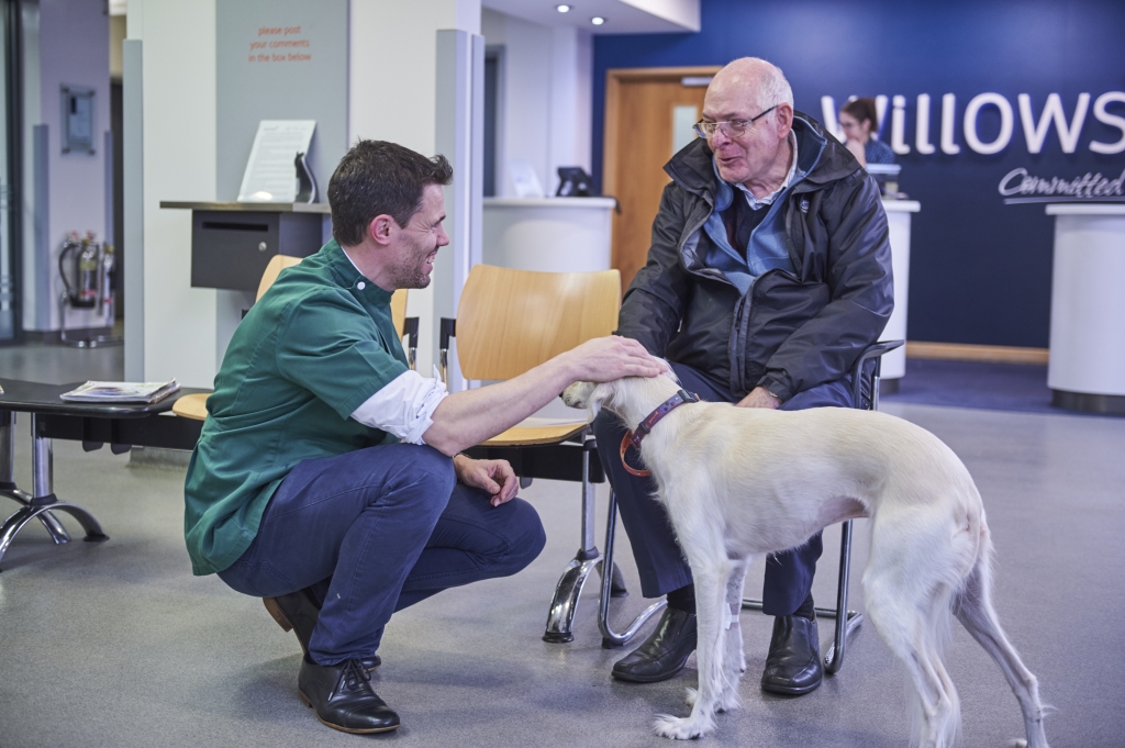 Willows Veterinary Centre and Referral Service in Solihull has launched a diabetes clinic for dogs and cats to coincide with the launch of SENVELGO®. 