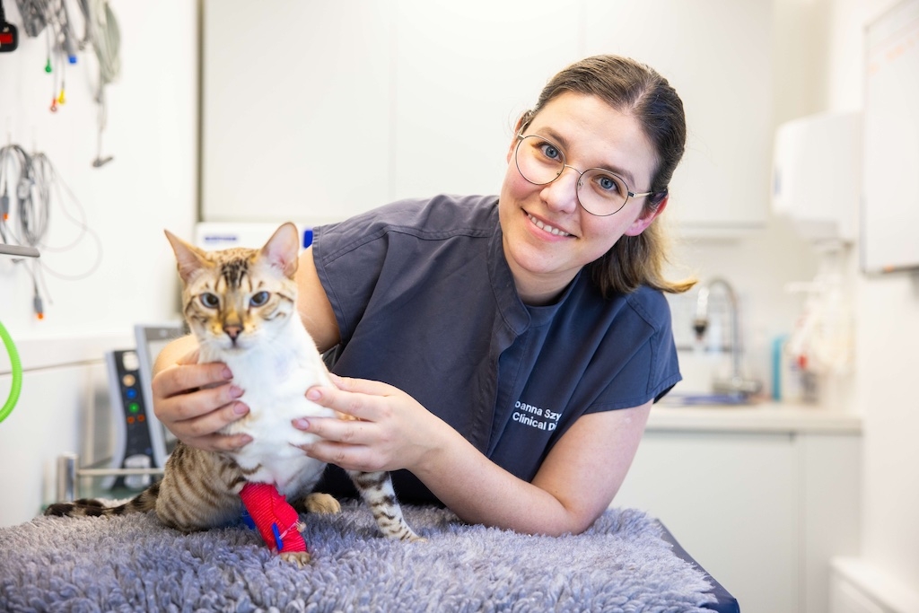 Cats Protection Vet of the Year 2025. Joanna Szymanska, Clinical Director of Graylands Cat Clinic in Horsham, West Sussex