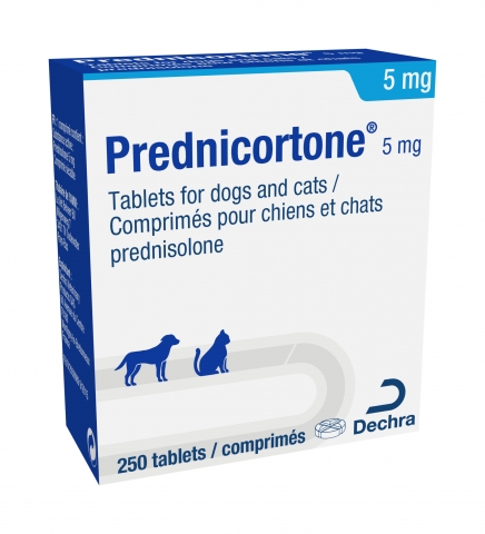 Prednicortone 5 mg tablets for dogs and cats