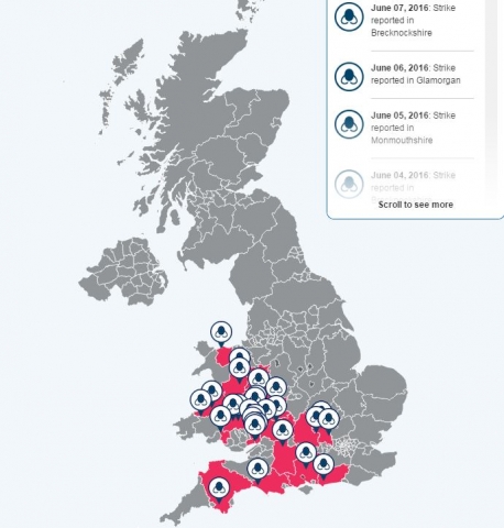 Elanco's blowfly strike tracker providers a near live resources for vets and farmers